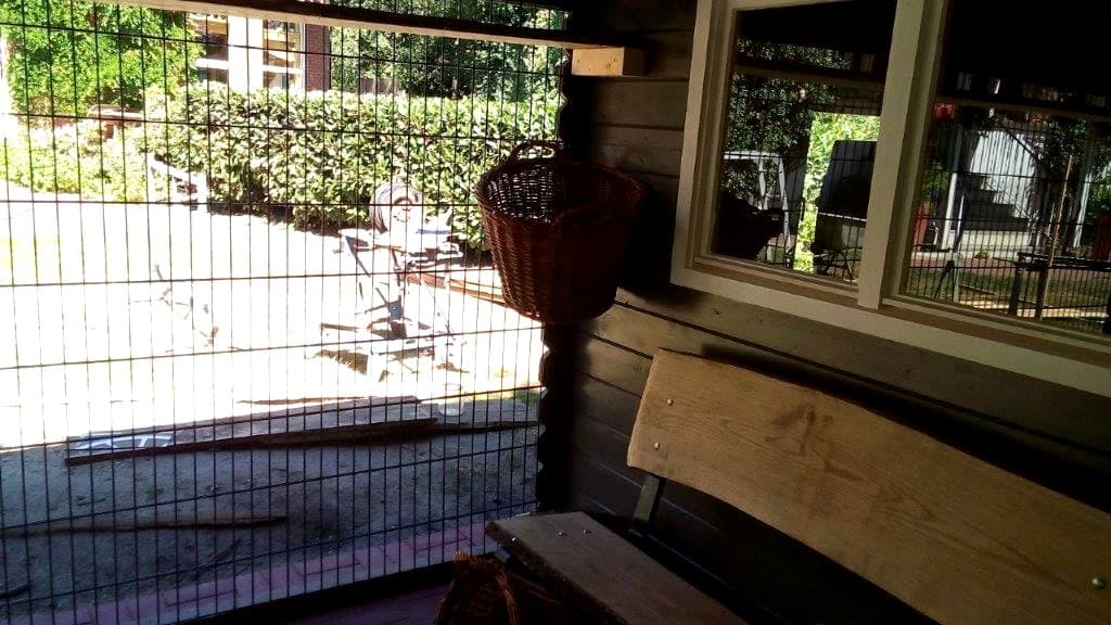 Blick aus dem Saloon in den überdachten Freilauf