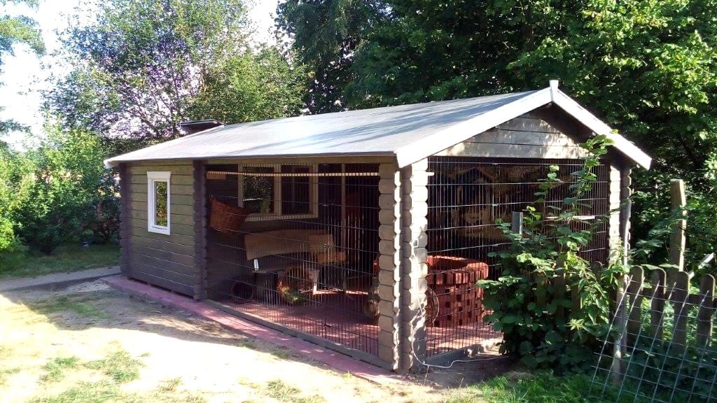 Das Blockhaus „Saloon“ im hinteren Bereich des Grundstücks